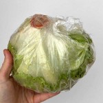 Айсберг - български 'GreenToGo', 1 брой